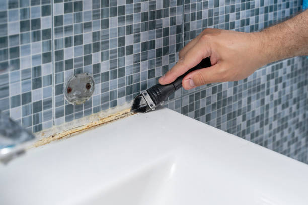 Willits, CA Mold Removal Company