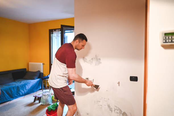 Best Attic Mold Removal  in Willits, CA